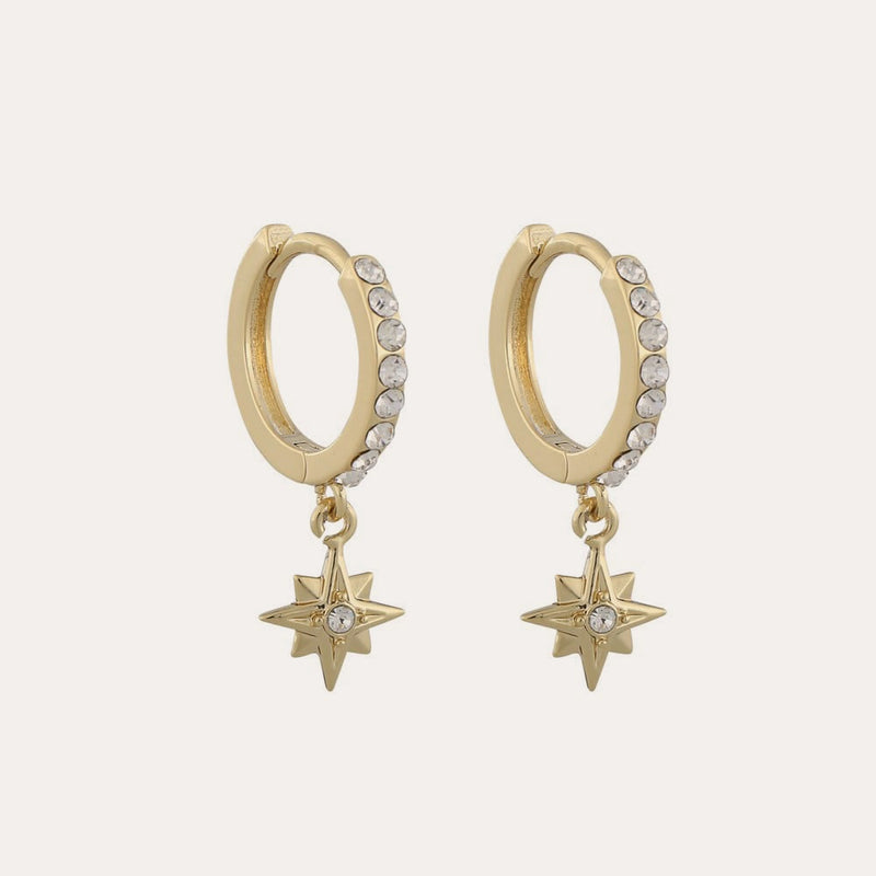 Feliz stone earring