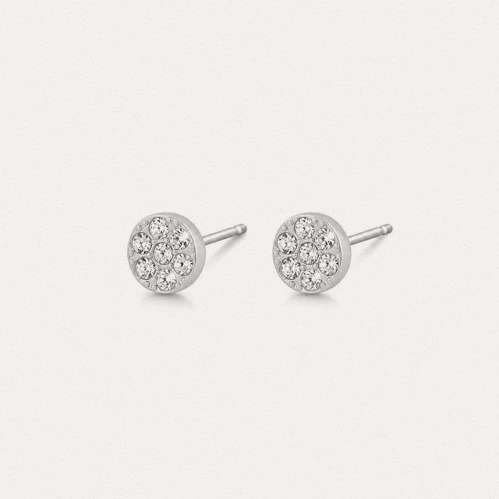 Pi stone ear 6mm Silver/klar