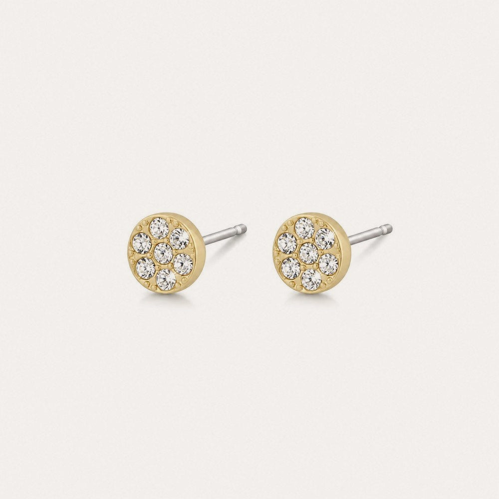 Pi stone ear 6mm Guld/klar