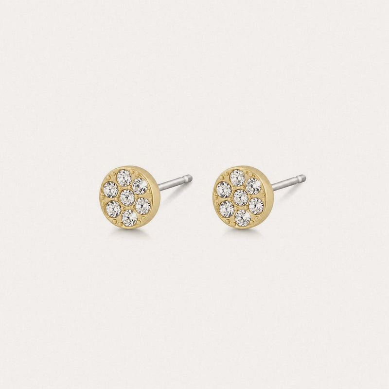 Pi stone earring 6mm